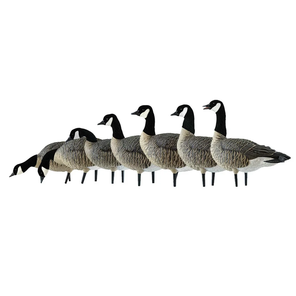 Avian-X AXF Lessers: Outfitter Pack / 12 Decoys / 12 Slot Bag Included - Image 3