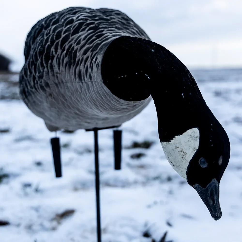 Avian-X AXF Lessers: Outfitter Pack / 12 Decoys / 12 Slot Bag Included - Image 4