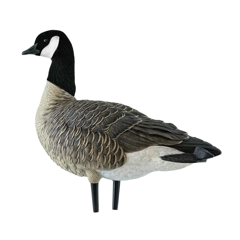 Avian-X AXF Lessers: Outfitter Pack / 12 Decoys / 12 Slot Bag Included - Image 5