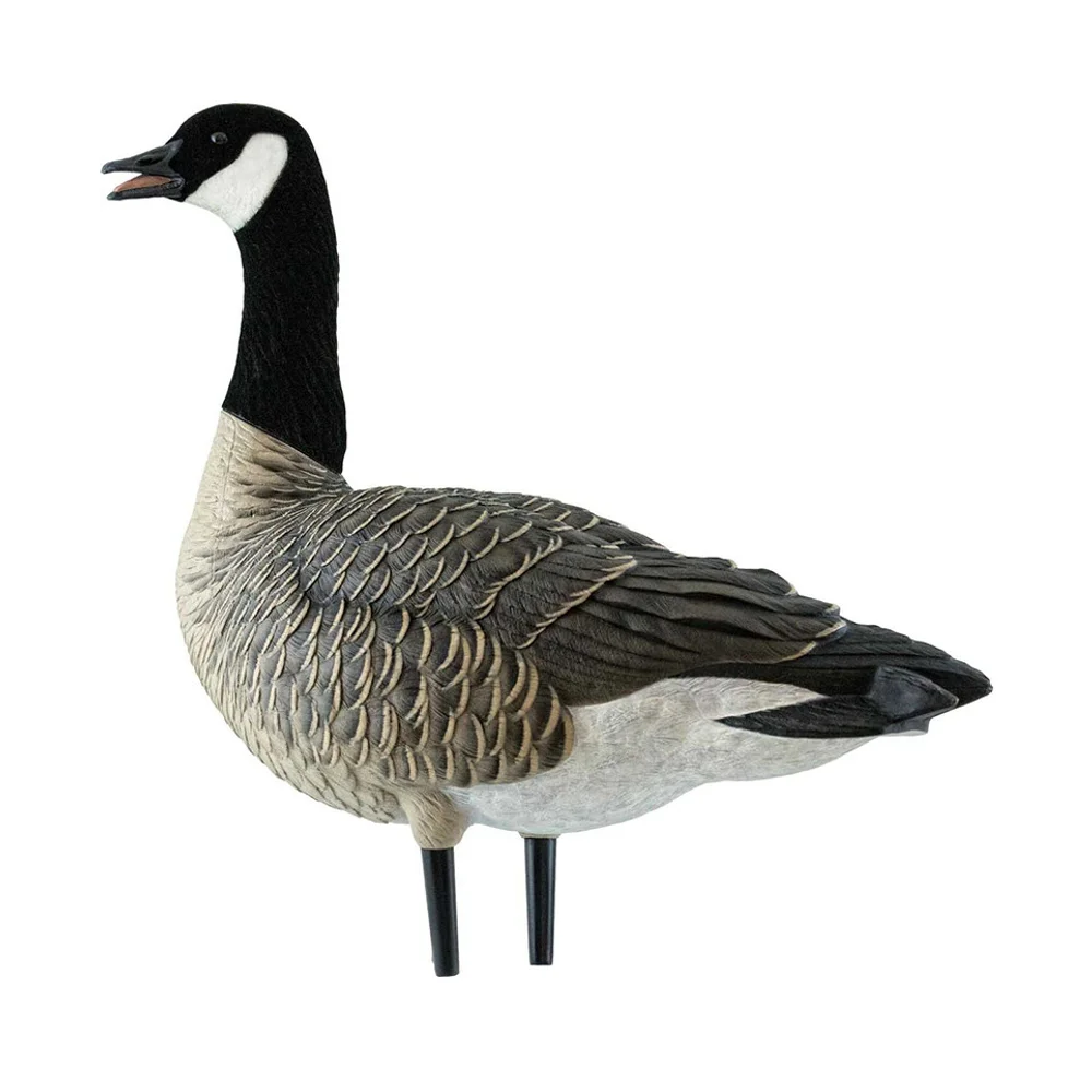 Avian-X AXF Lessers: Outfitter Pack / 12 Decoys / 12 Slot Bag Included - Image 8