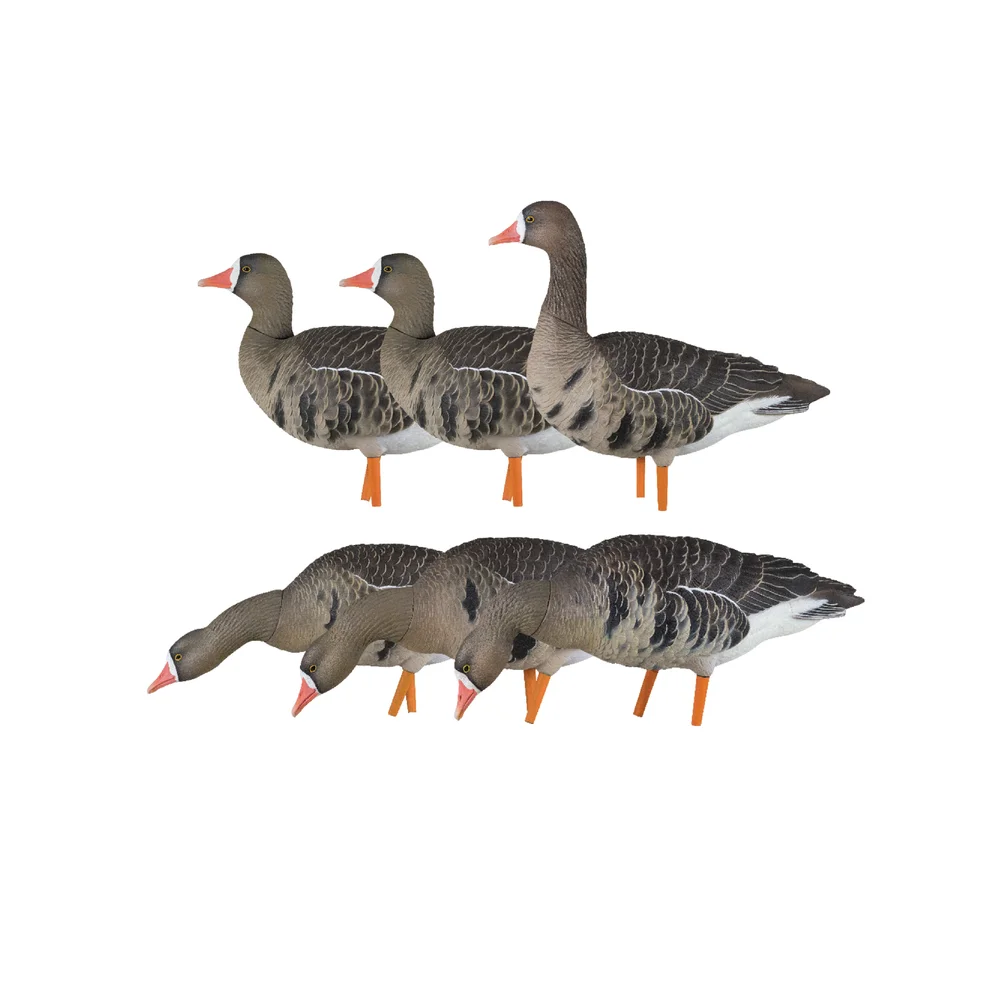 Avian-X AXF Specklebelly Fusion Goose Decoys (6 Pack)