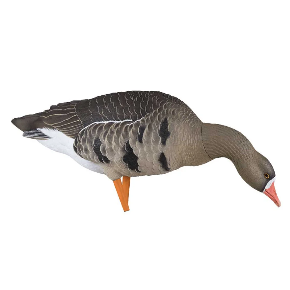 Avian-X AXF Specklebelly Fusion Goose Decoys (6 Pack) - Image 5