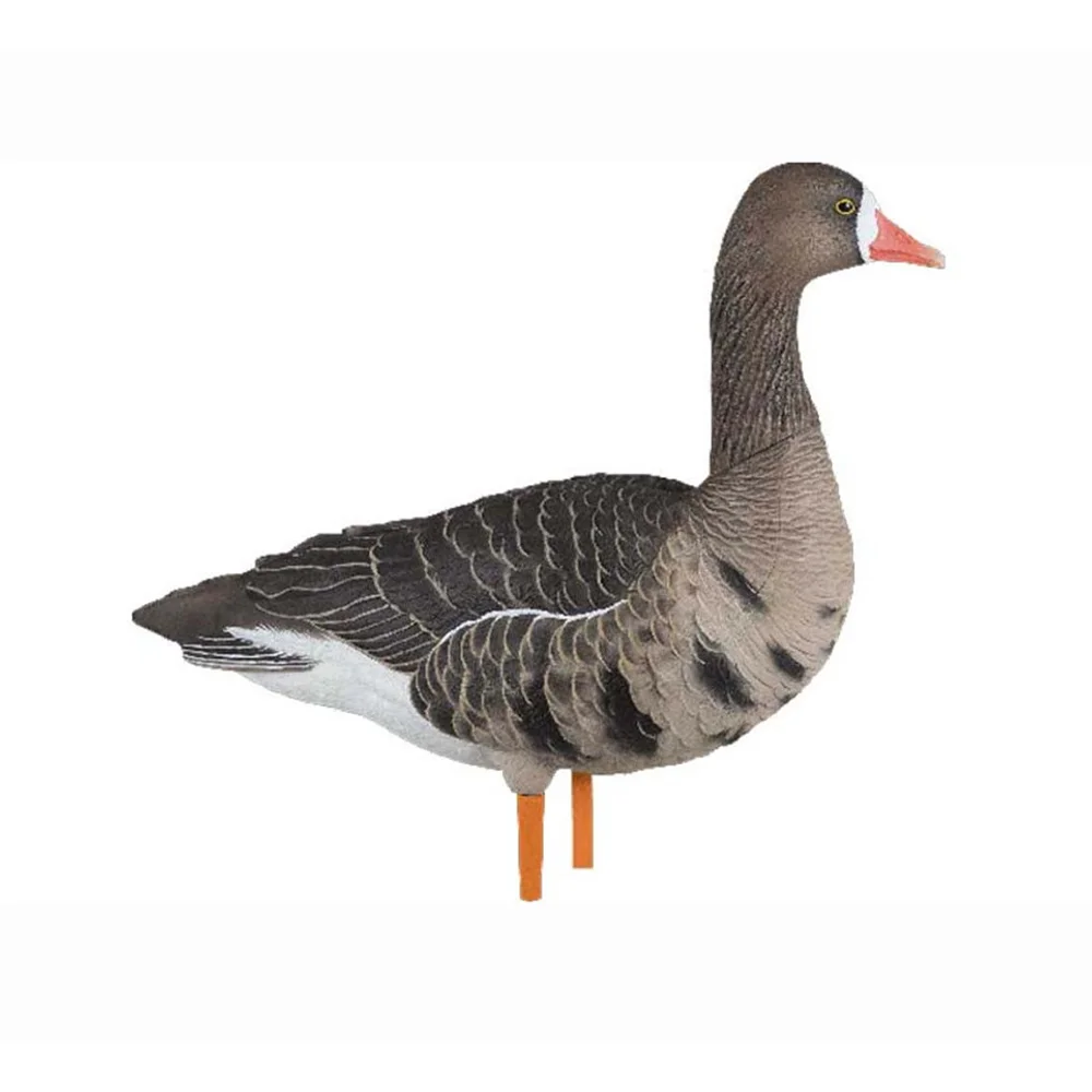 Avian-X AXF Specklebelly Fusion Goose Decoys (6 Pack) - Image 6