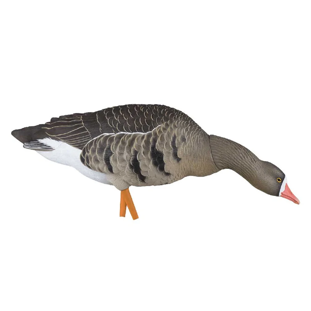 Avian-X AXF Specklebelly Fusion Goose Decoys (6 Pack) - Image 7