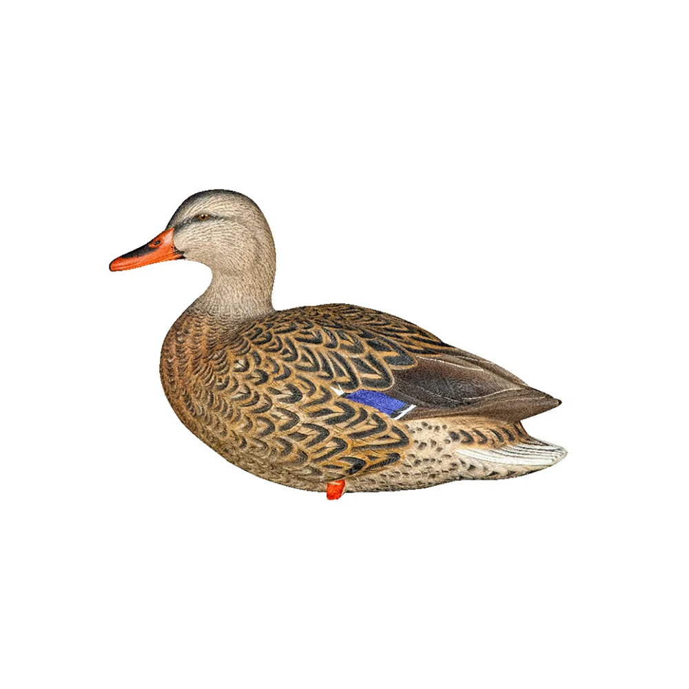 Avian-X AXP Full Body Mallards Fusion Pack / 6 Decoys / Includes Slot Bag & Field Stakes - Image 3