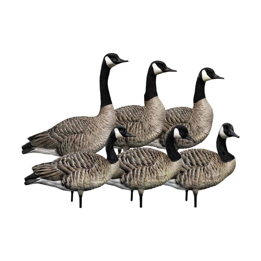 Avian-X AXP Honker Sentry-Walker Goose Decoys (6 Pack)