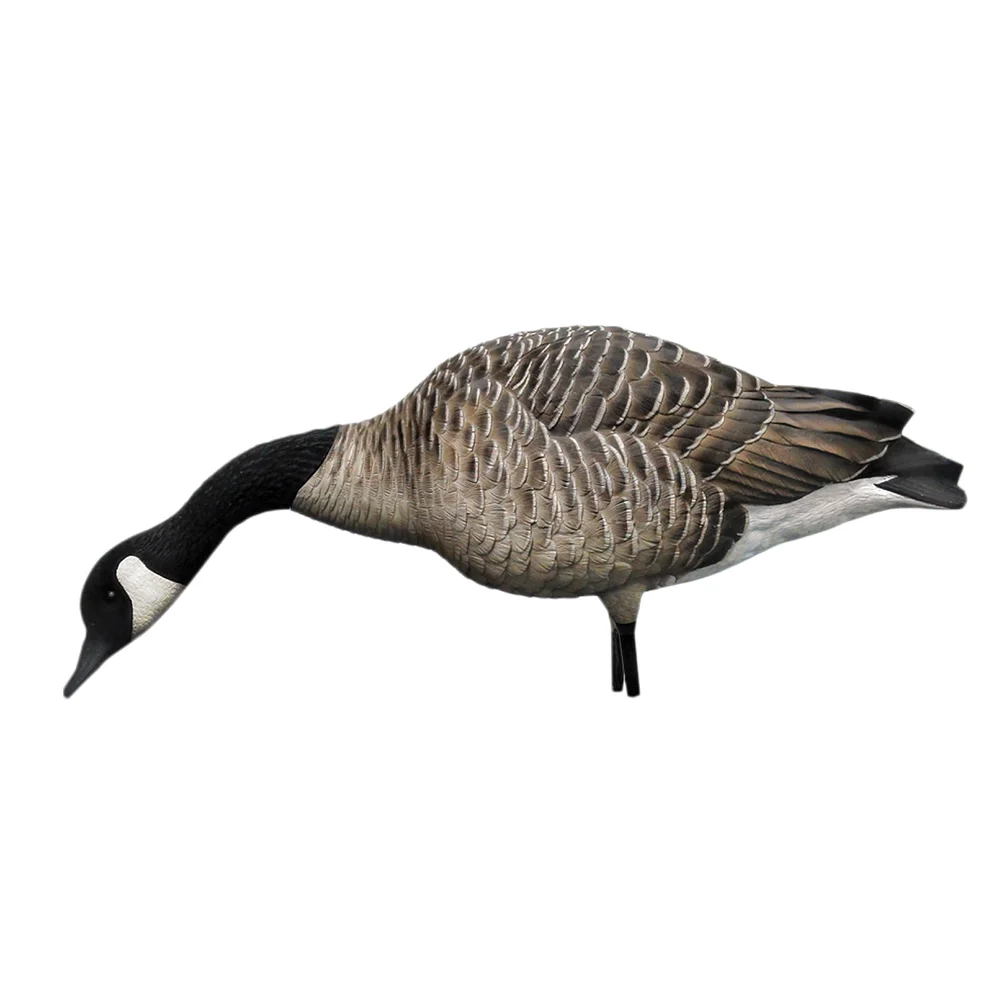 Avian-X AXP HONKERS FEEDER PACK / 6 DECOYS - Image 5