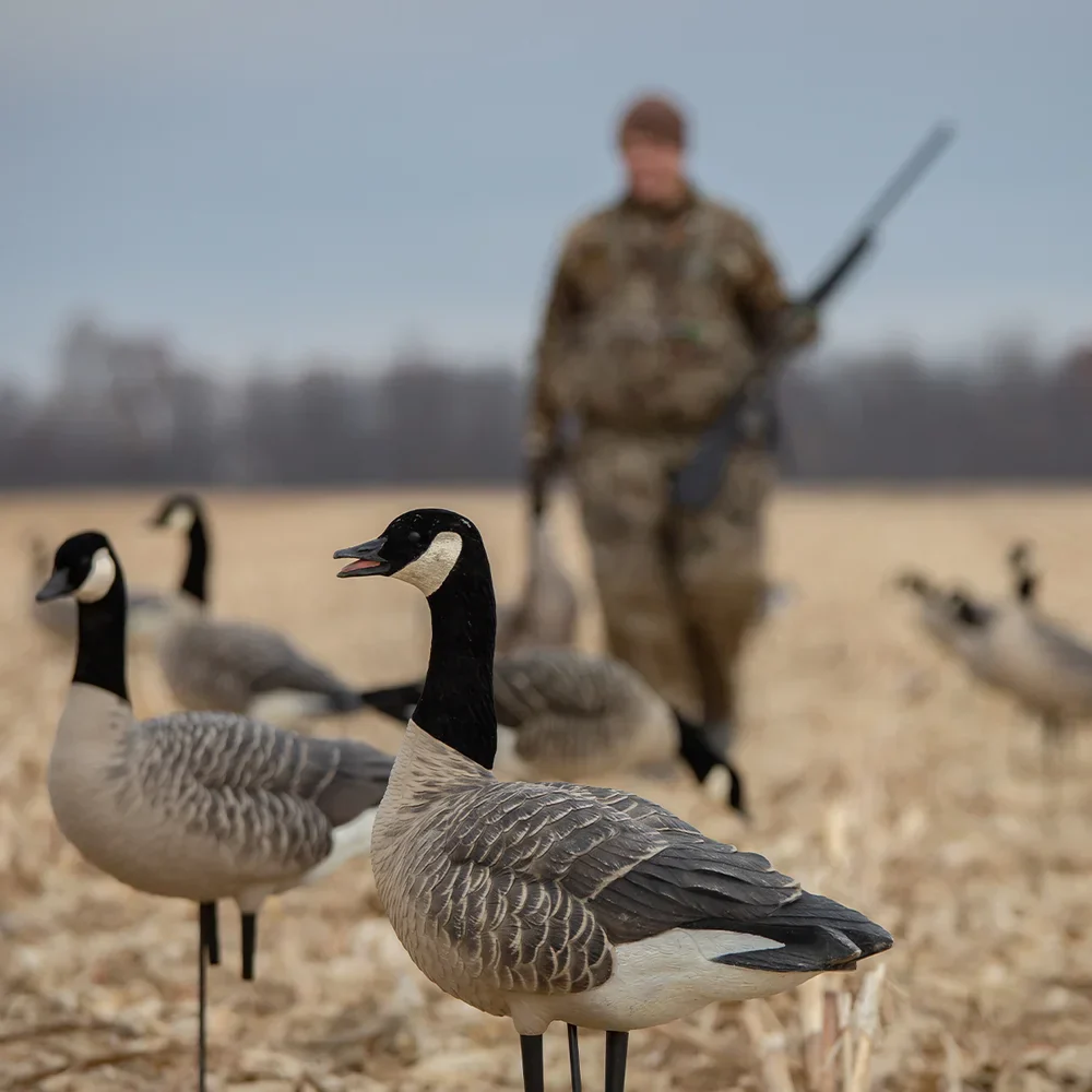 Avian-X AXP HONKERS FEEDER PACK / 6 DECOYS - Image 6