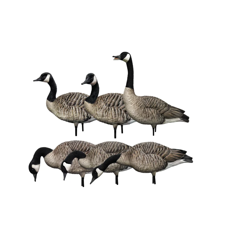 Avian-X AXP Honkers Fusion Goose Decoys (6 Pack)