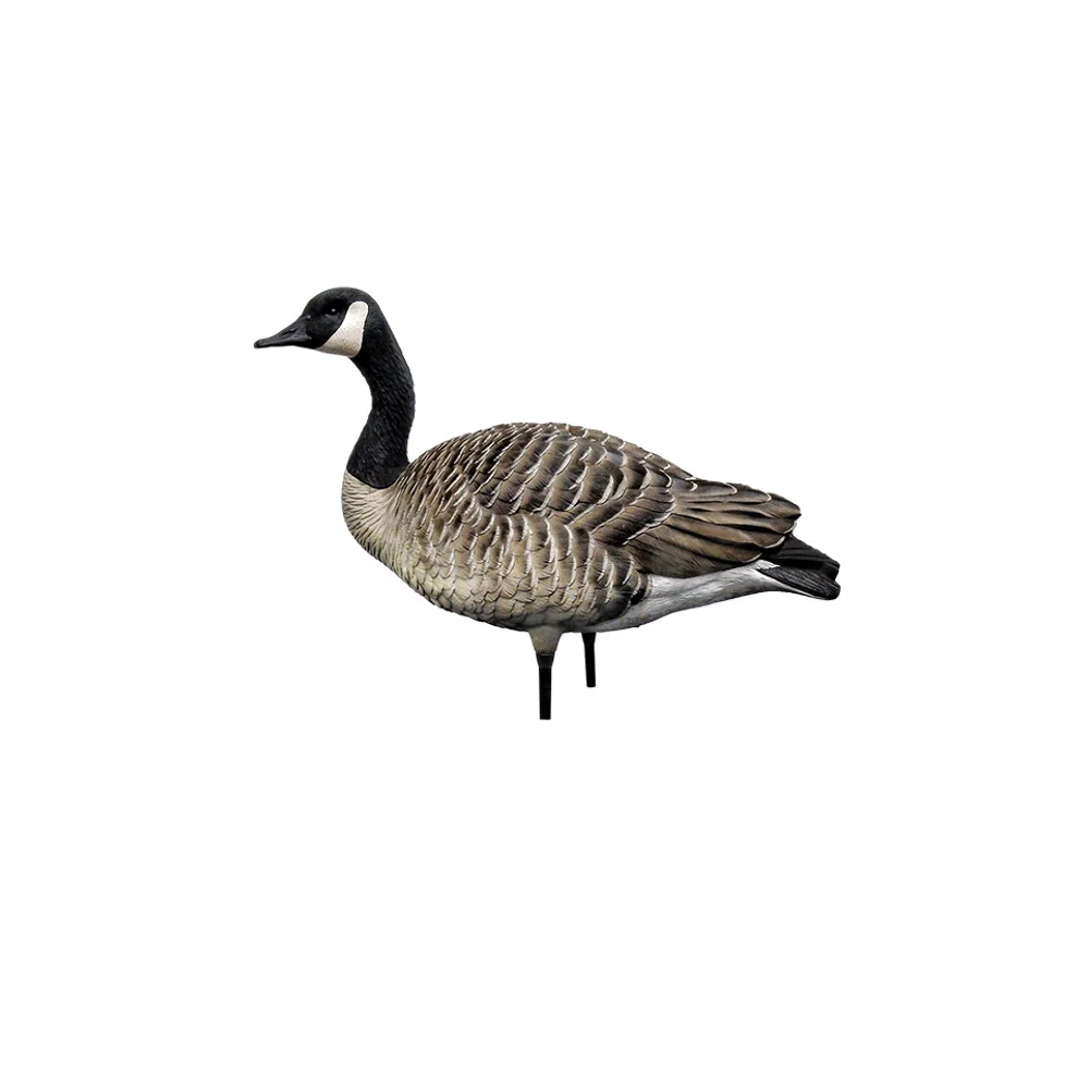 Avian-X AXP Honkers Fusion Goose Decoys (6 Pack) - Image 10