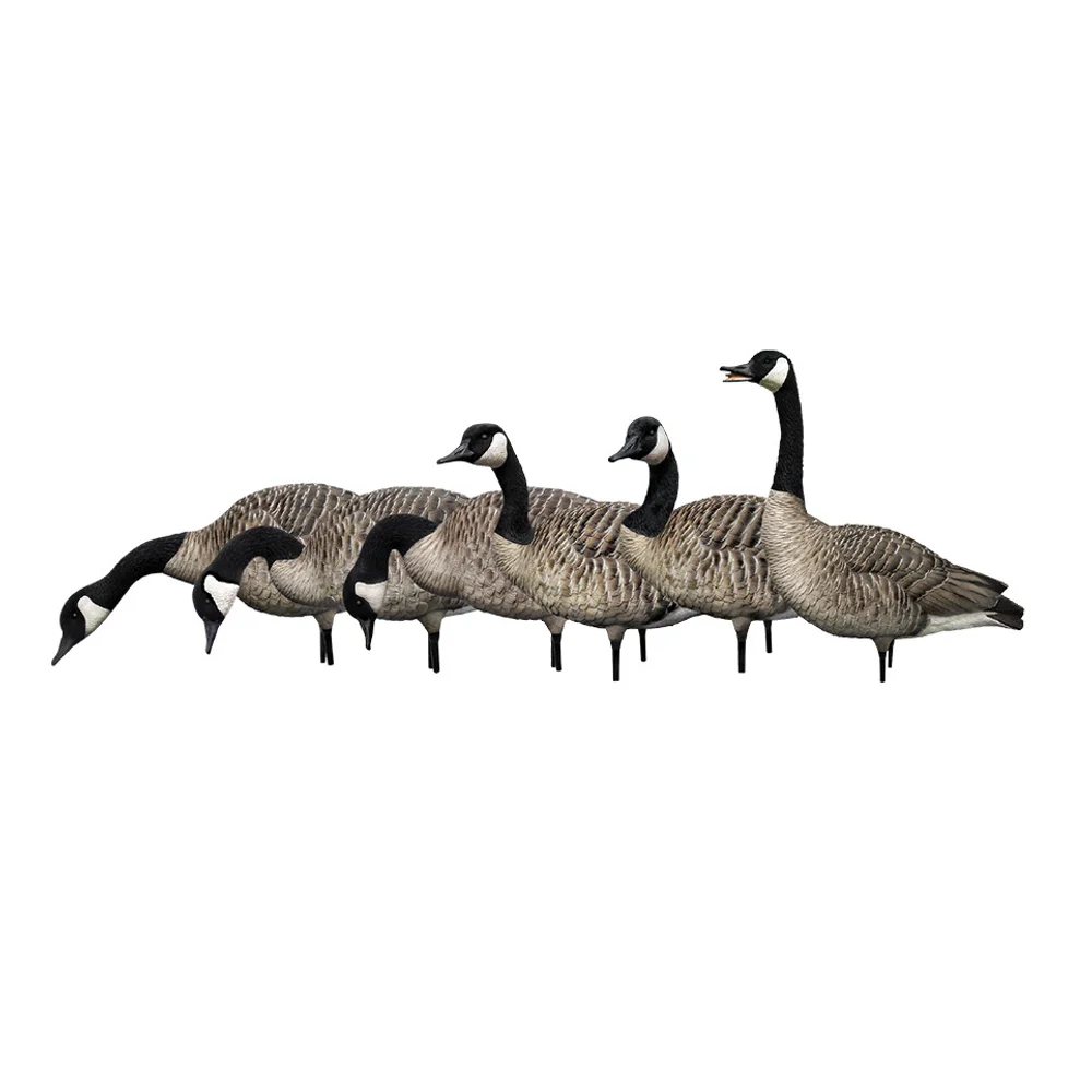 Avian-X AXP Honkers Fusion Goose Decoys (6 Pack) - Image 2