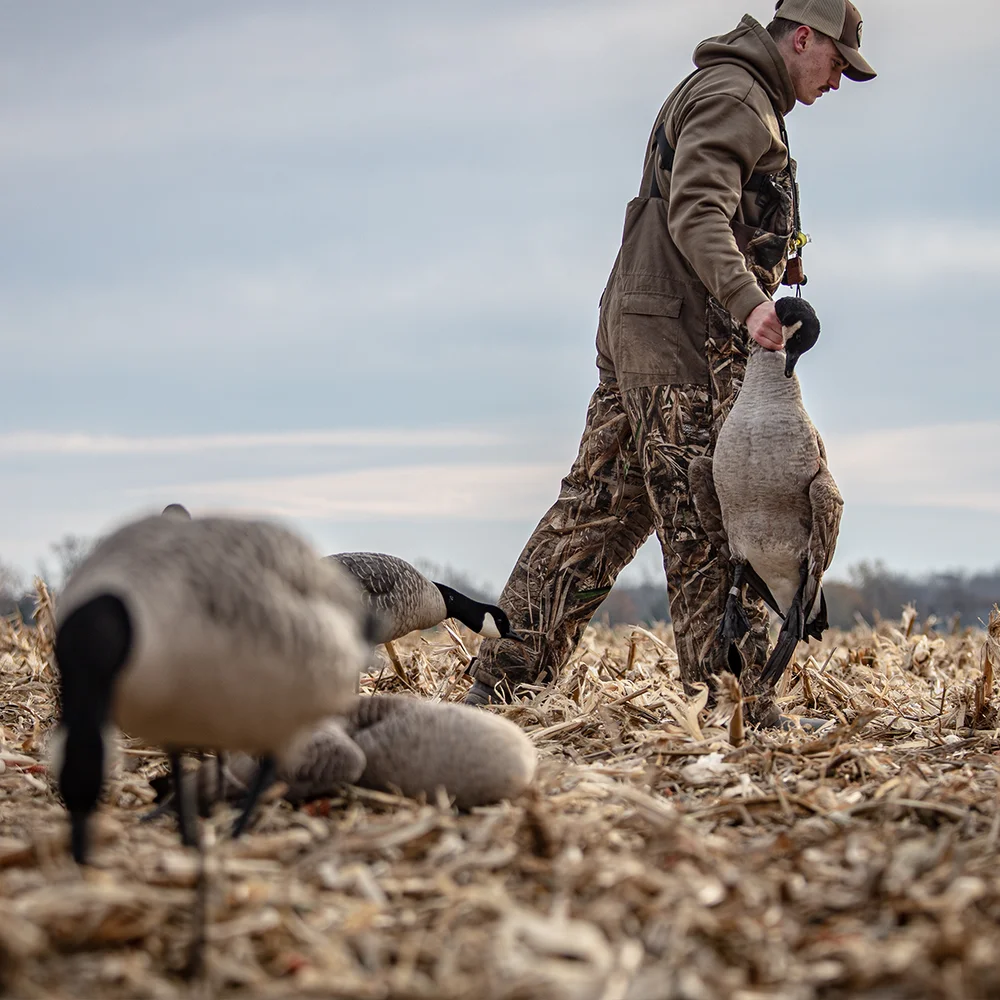 Avian-X AXP Honkers Fusion Goose Decoys (6 Pack) - Image 5
