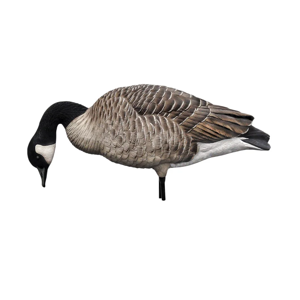 Avian-X AXP Honkers Fusion Goose Decoys (6 Pack) - Image 6