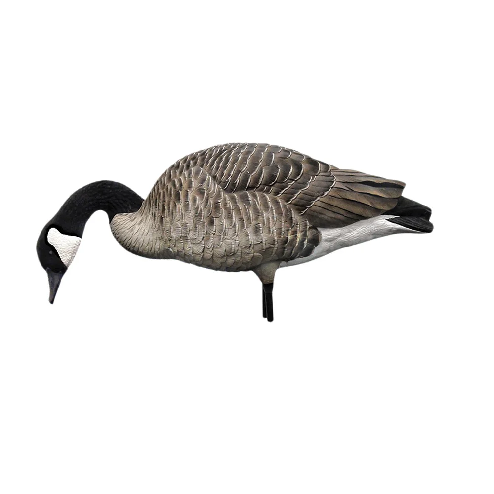 Avian-X AXP Honkers Fusion Goose Decoys (6 Pack) - Image 7