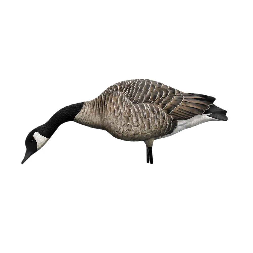 Avian-X AXP Honkers Fusion Goose Decoys (6 Pack) - Image 9