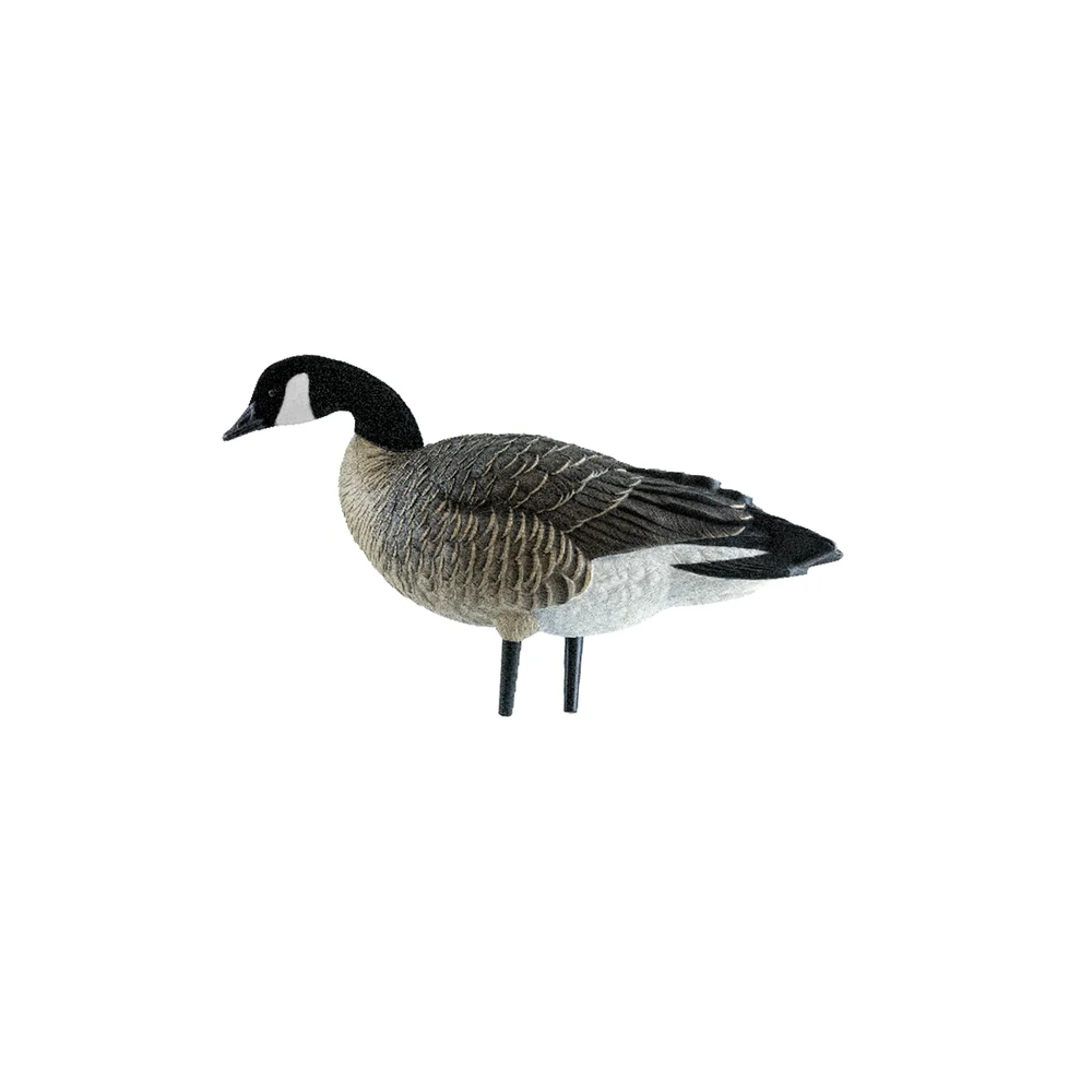 Avian-X AXP Active Lessers Goose Decoys (6 Pack) - Image 3