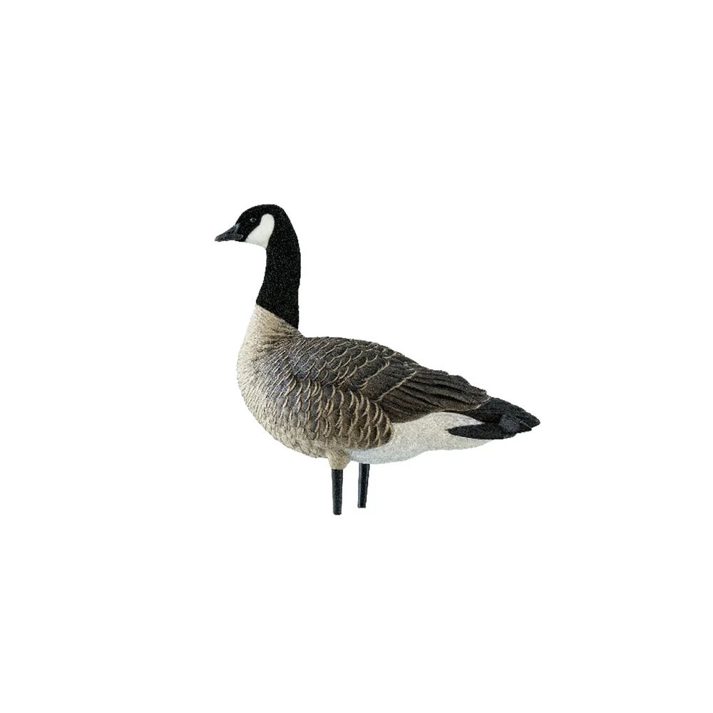 Avian-X AXP Active Lessers Goose Decoys (6 Pack) - Image 4