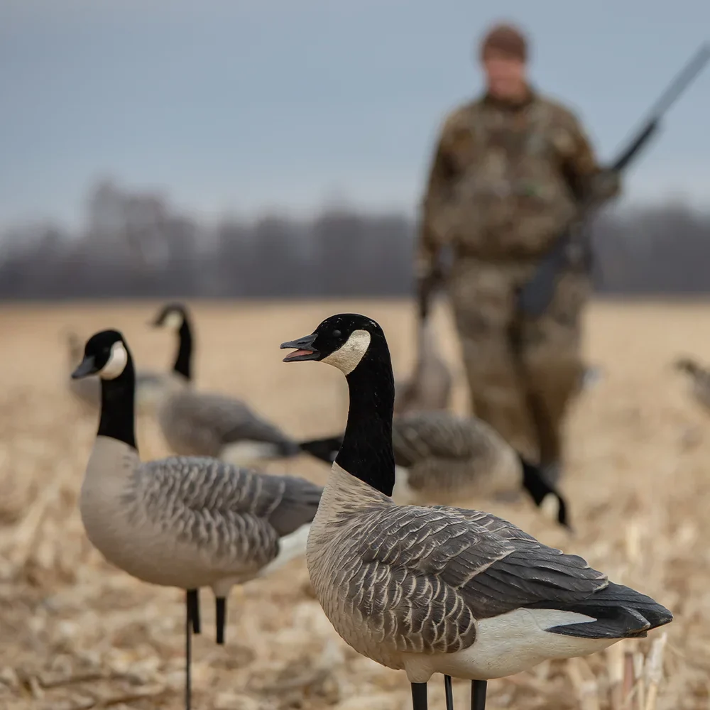 Avian-X AXP Active Lessers Goose Decoys (6 Pack) - Image 9