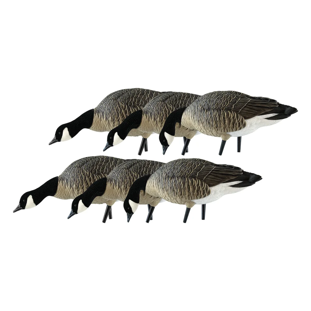 Avian-X AXP Feeder Lessers Goose Decoys (6 Pack)