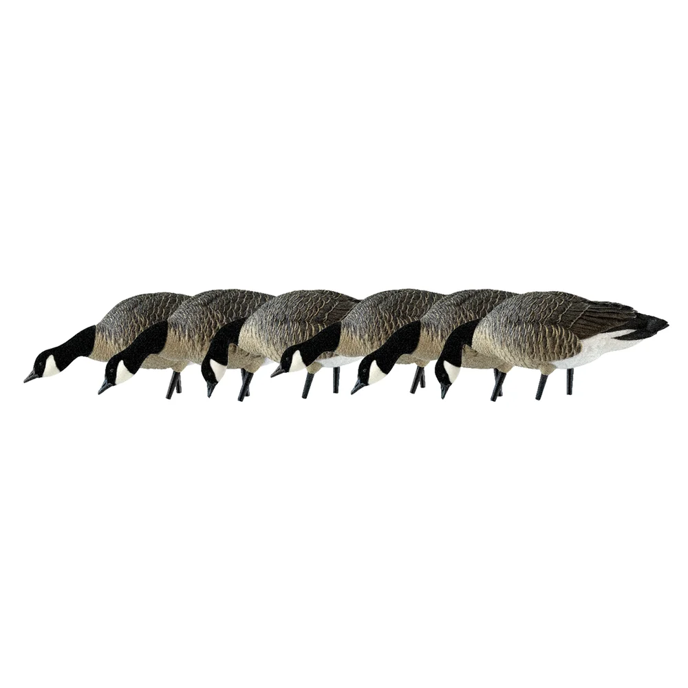 Avian-X AXP Feeder Lessers Goose Decoys (6 Pack) - Image 2