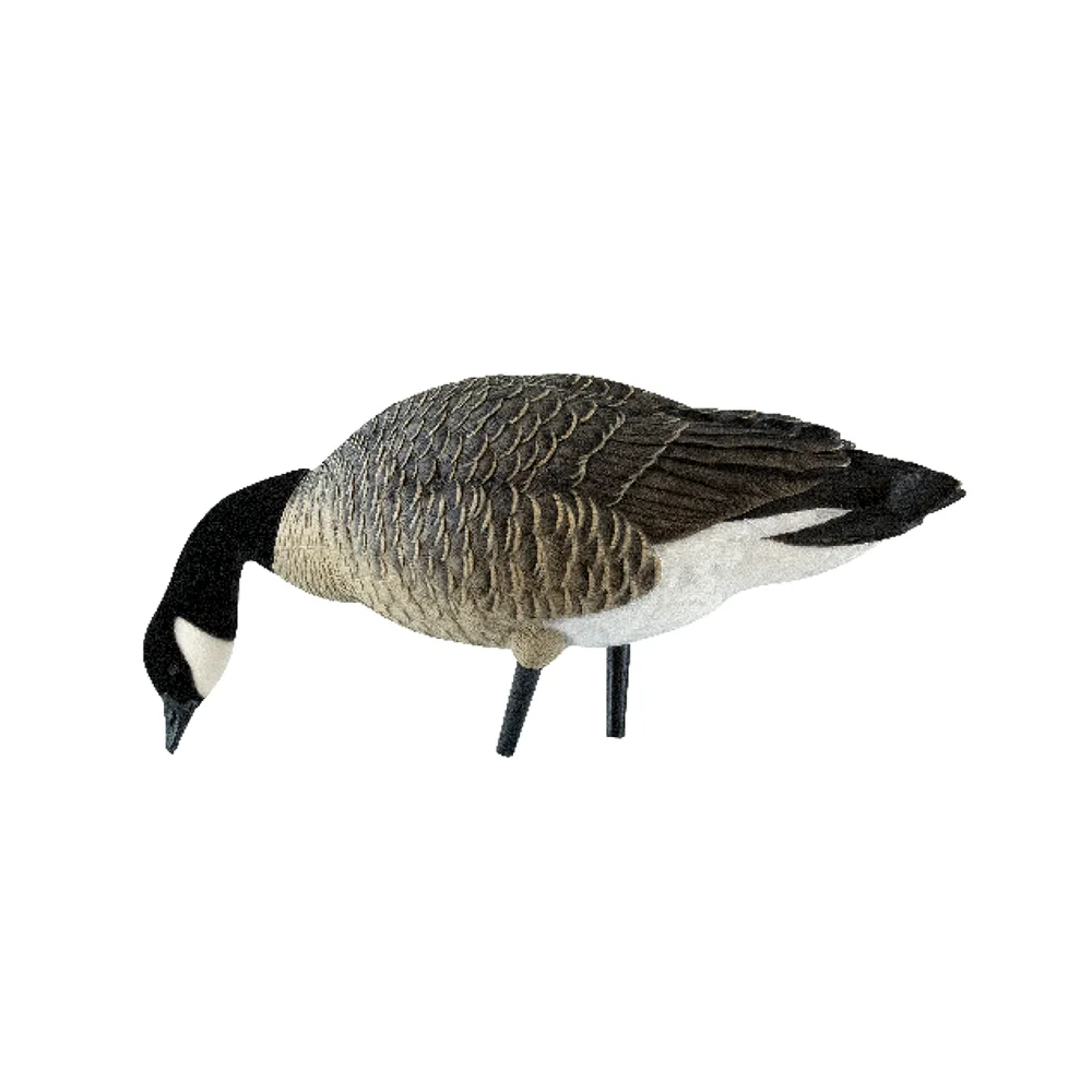 Avian-X AXP Feeder Lessers Goose Decoys (6 Pack) - Image 3