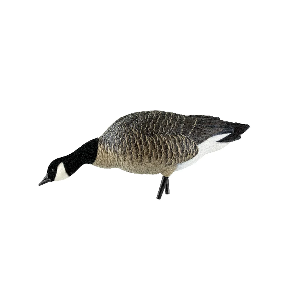 Avian-X AXP Feeder Lessers Goose Decoys (6 Pack) - Image 4