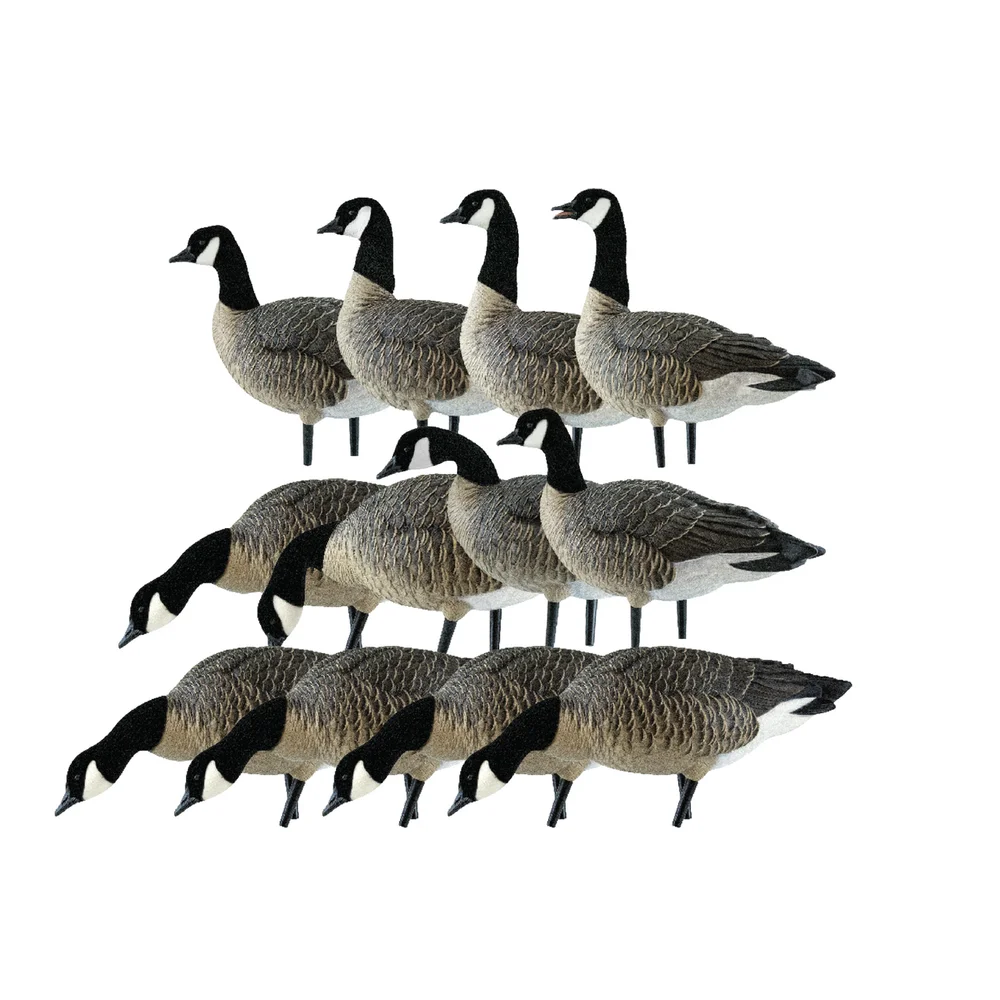 Avian-X AXP Lessers: Outfitter Pack / 12 Decoys / 12 Slot Bag Included