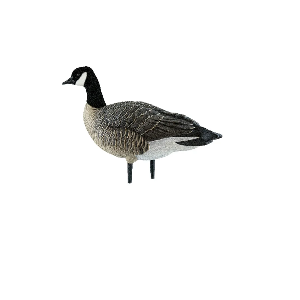 Avian-X AXP Lessers: Outfitter Pack / 12 Decoys / 12 Slot Bag Included - Image 10