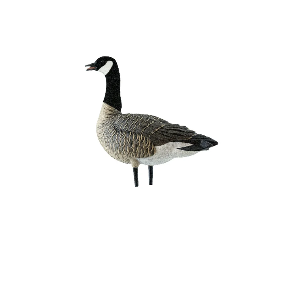Avian-X AXP Lessers: Outfitter Pack / 12 Decoys / 12 Slot Bag Included - Image 11