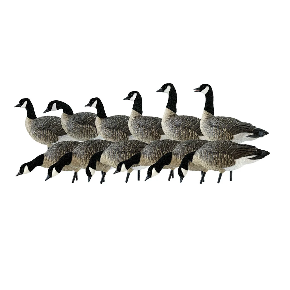 Avian-X AXP Lessers: Outfitter Pack / 12 Decoys / 12 Slot Bag Included - Image 2