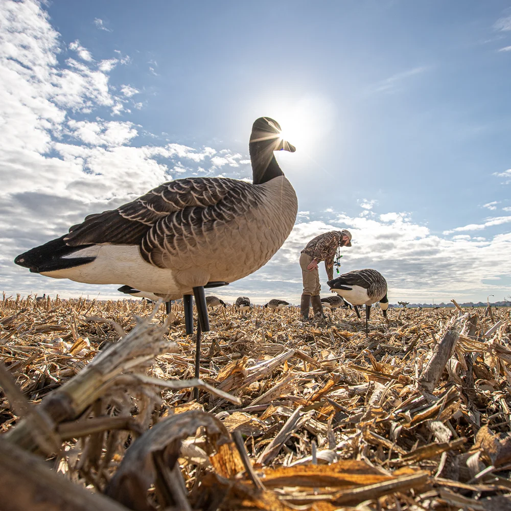 Avian-X AXP Lessers: Outfitter Pack / 12 Decoys / 12 Slot Bag Included - Image 4