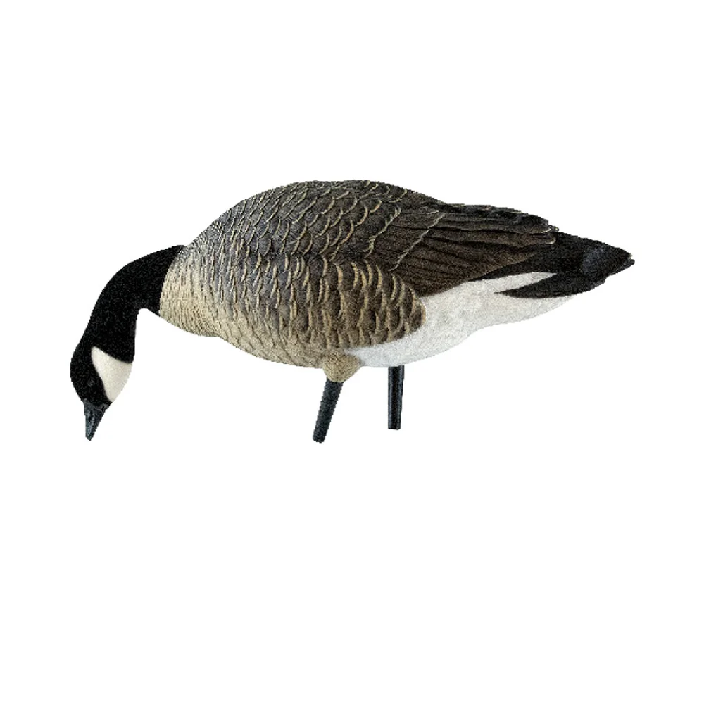 Avian-X AXP Lessers: Outfitter Pack / 12 Decoys / 12 Slot Bag Included - Image 5