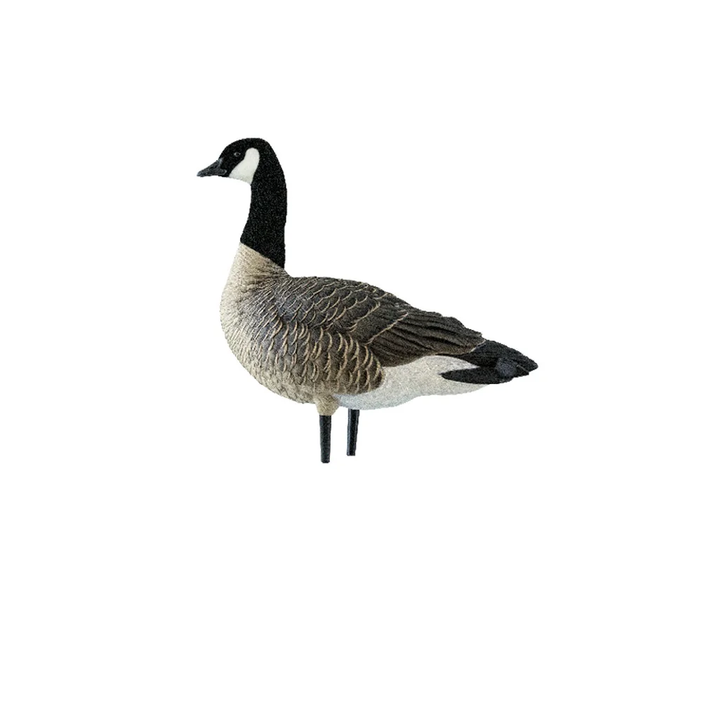 Avian-X AXP Lessers: Outfitter Pack / 12 Decoys / 12 Slot Bag Included - Image 9