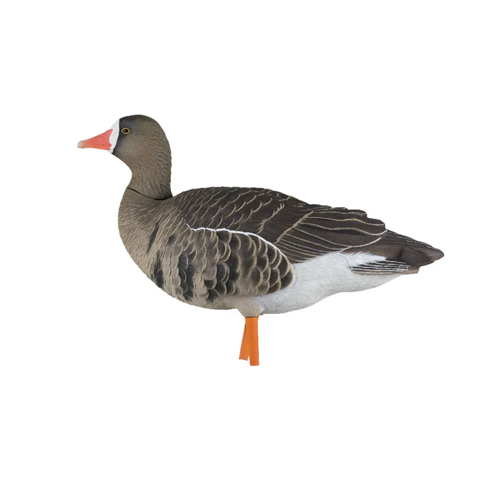 Avian-X AXP Specklebelly Fusion Goose Decoys (6 Pack) - Image 2