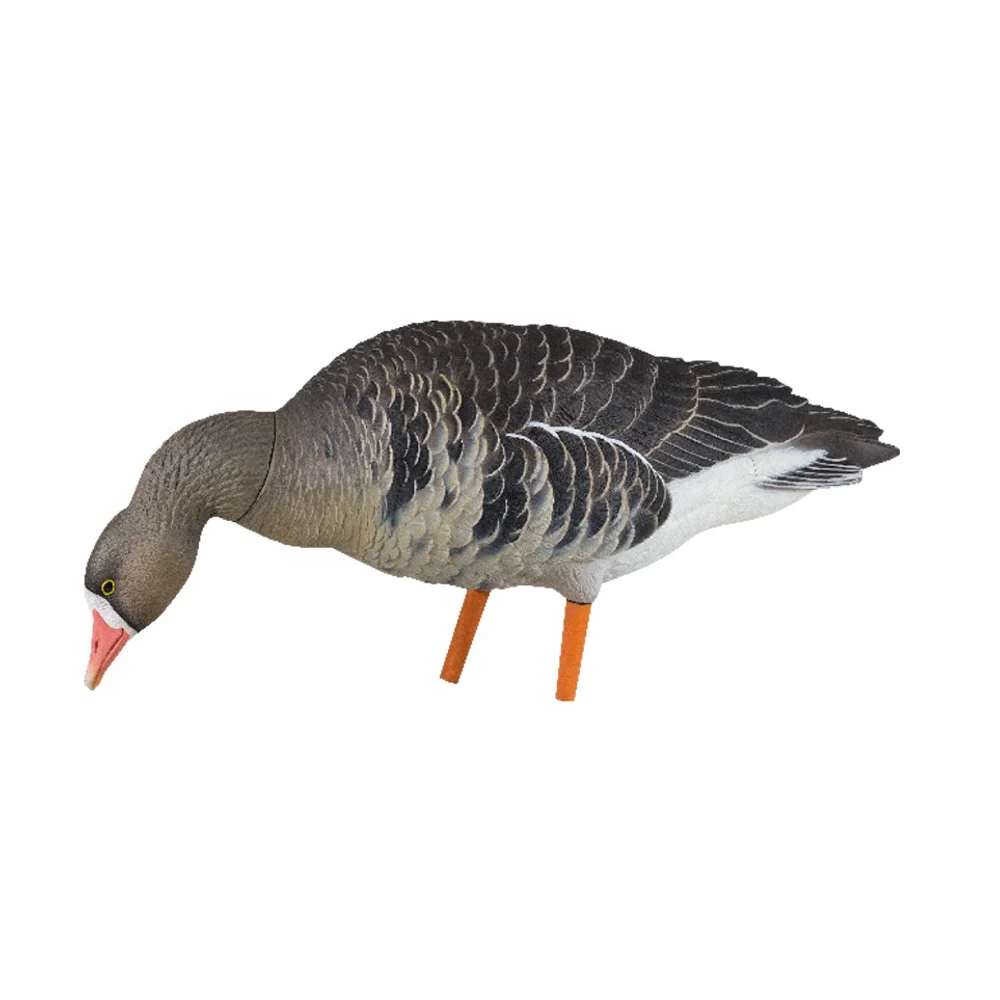 Avian-X AXP Specklebelly Fusion Goose Decoys (6 Pack) - Image 4