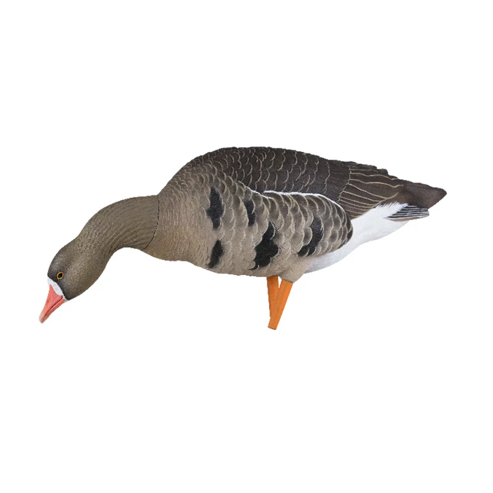 Avian-X AXP Specklebelly Fusion Goose Decoys (6 Pack) - Image 6