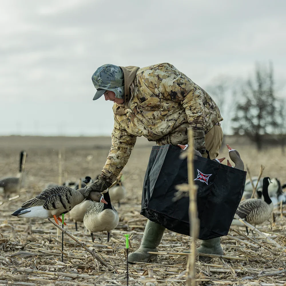 Avian-X AXP Specklebelly Fusion Goose Decoys (6 Pack) - Image 8