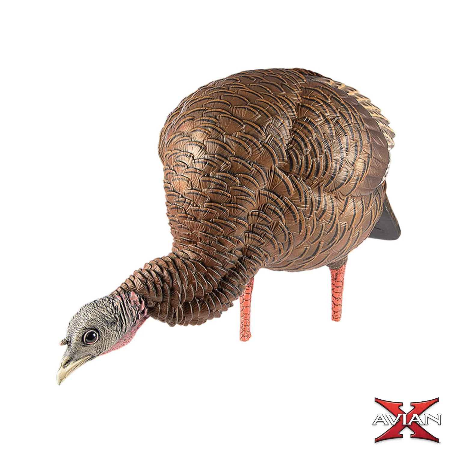 Avian-X HDR Feeding Hen Turkey Decoy - Image 3