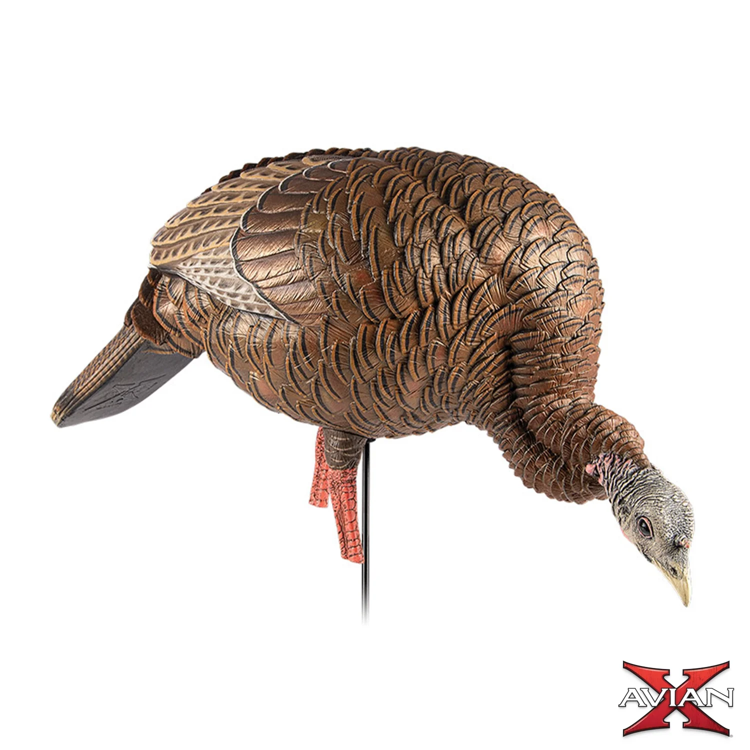 Avian-X HDR Feeding Hen Turkey Decoy - Image 5