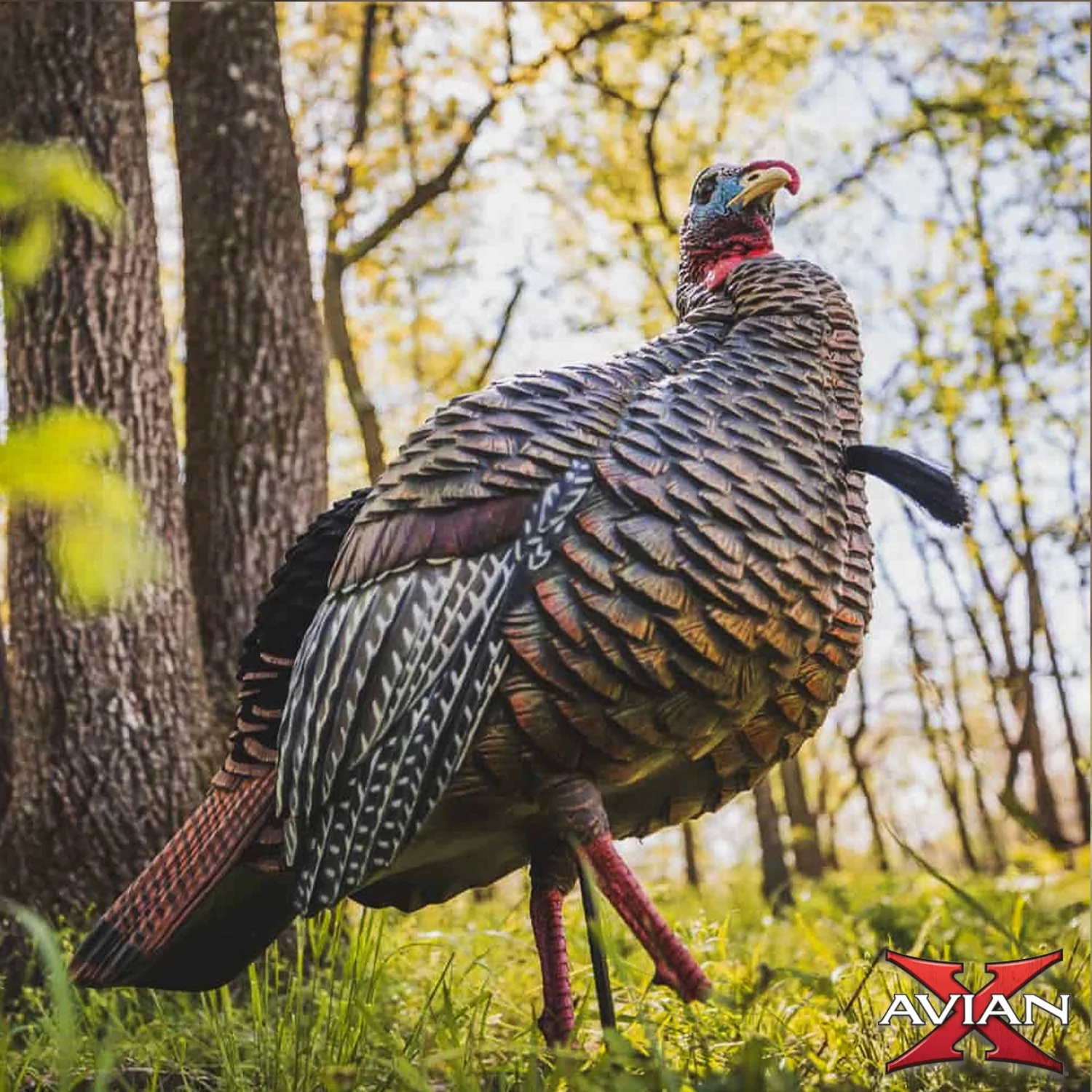 Avian-X HDR Jake Turkey Decoy - Image 5