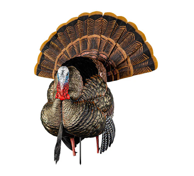 Avian-X HDR Strutter Turkey Decoy - Image 3