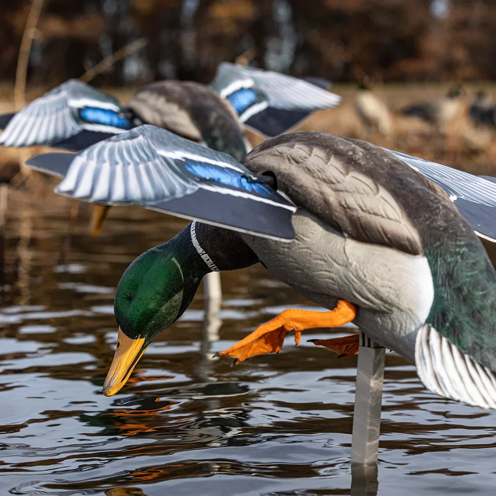 Avian-X Powerflight Mallard Spinning Wing Duck Decoy - Image 5
