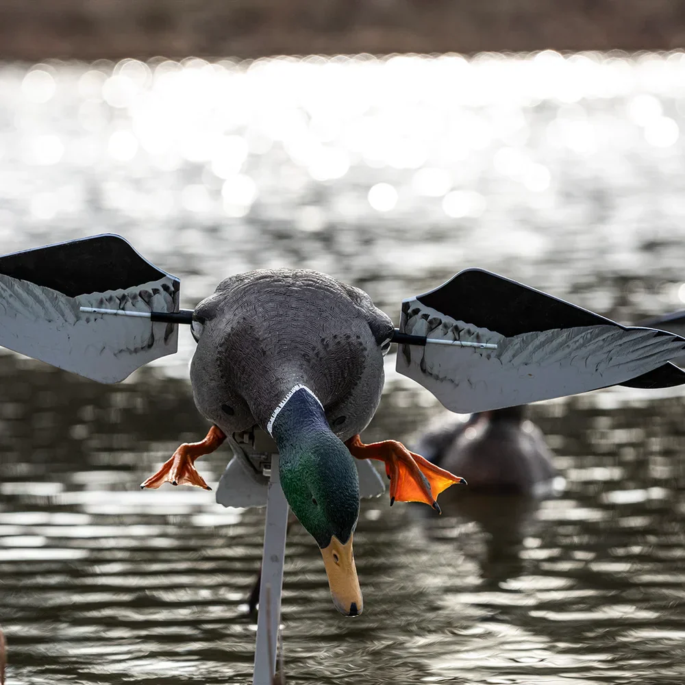 Avian-X Powerflight Mallard Spinning Wing Duck Decoy - Image 6