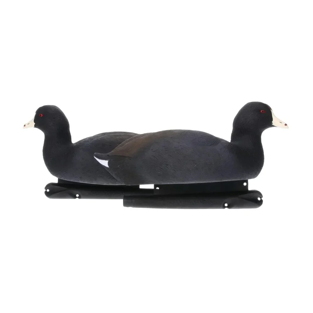 Avian-X Topflight Coot Floating Duck Decoys (6 Pack) - Image 3