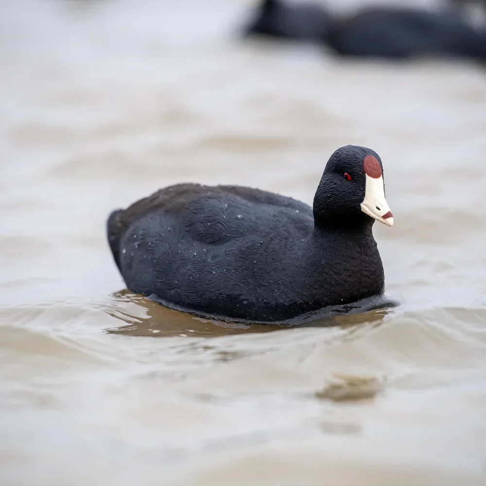 Avian-X Topflight Coot Floating Duck Decoys (6 Pack) - Image 5