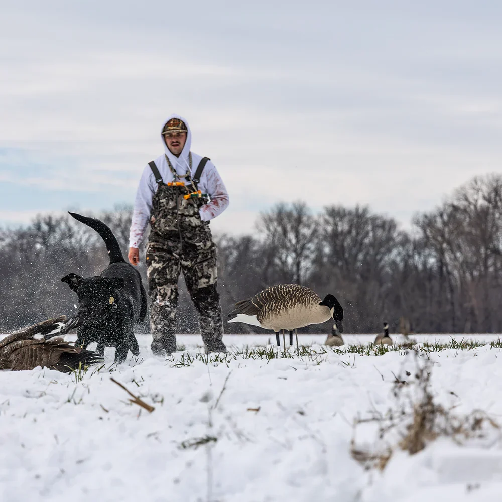 Avian-X Topflight Honkers Floating Goose Decoys (4 Pack) - Image 10