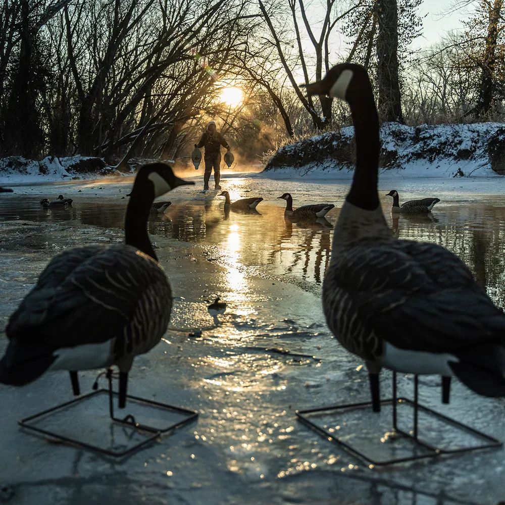Avian-X Topflight Honkers Floating Goose Decoys (4 Pack) - Image 5