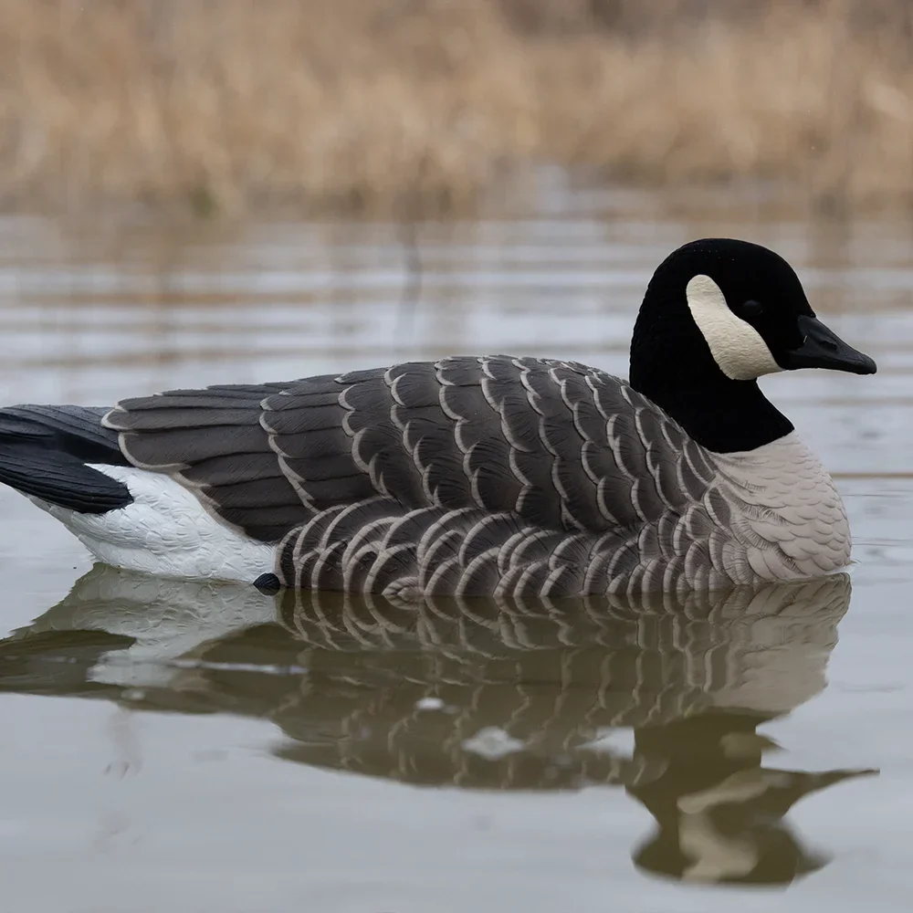 Avian-X Topflight Lesser Floating Goose Decoys (4 Pack) - Image 10