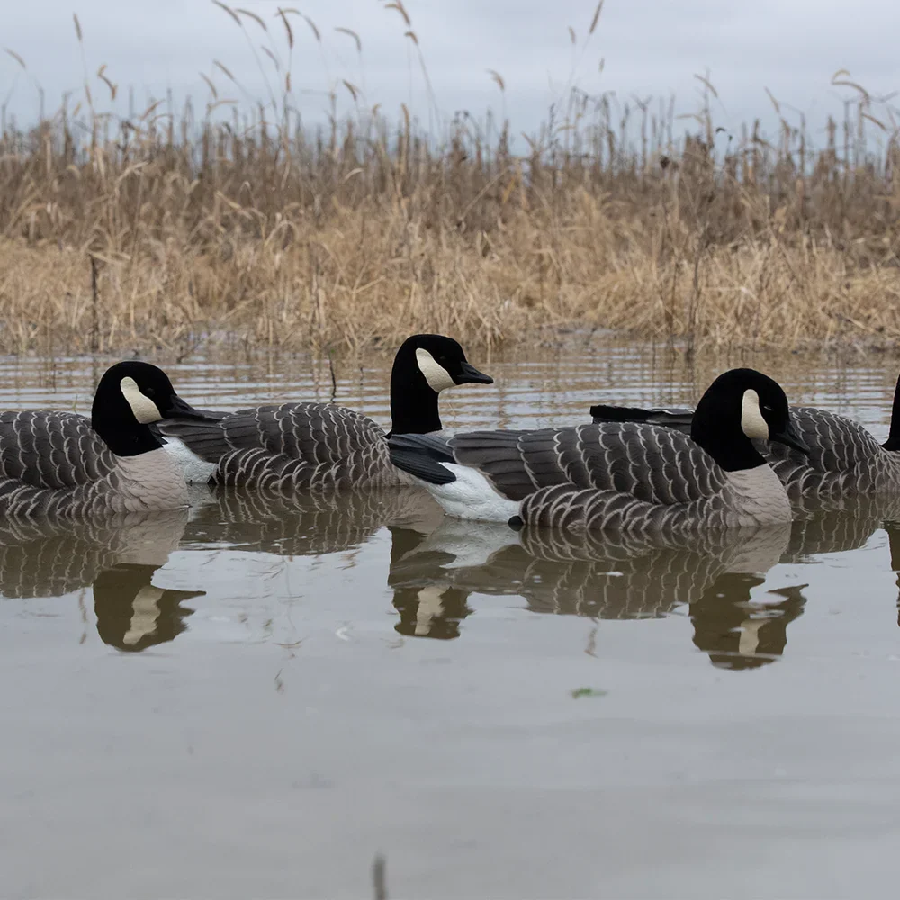 Avian-X Topflight Lesser Floating Goose Decoys (4 Pack) - Image 8
