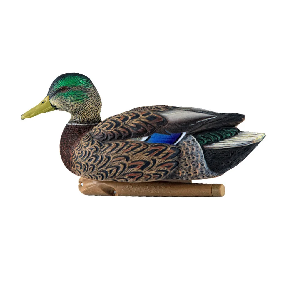 Avian-X Topflight Mallards Early Season Pack 6 Floating Decoys - Image 3